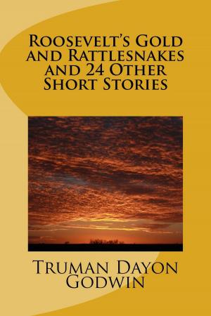 Cover of the book Roosevelt's Gold and Rattlesnakes and 24 Other Short Stories by Cindy Christmas