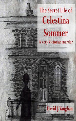 Cover of The Secret Life of Celestina Sommer: a very Victorian murder