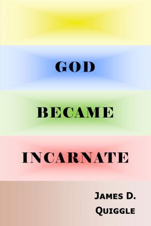 Cover of the book God Became Incarnate by James D. Quiggle