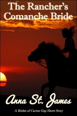 Cover of the book The Rancher's Comanche Bride by Sean McLachlan