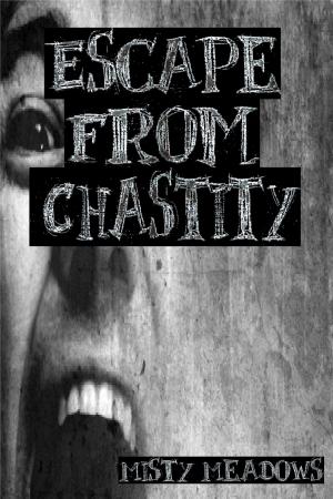 Cover of the book Escape From Chastity (Femdom, Chastity) by Jessica Jarman
