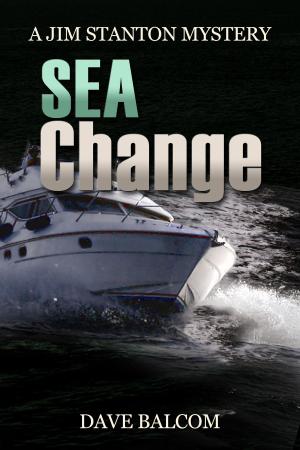 bigCover of the book Sea Change by 