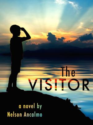 Cover of the book The Visitor by Alyssia Leon