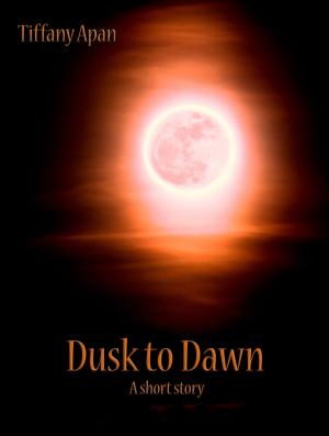 Book cover of Dusk to Dawn (A Short Story-Stories from Colony Drive, #2)