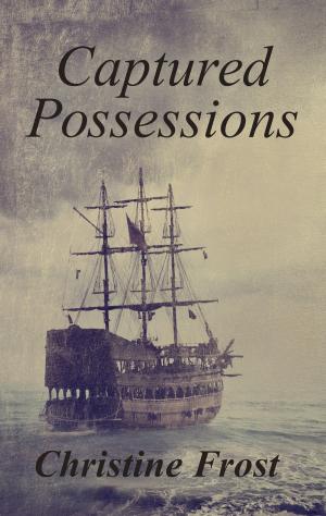 Cover of the book Captured Possessions by Jane Steen
