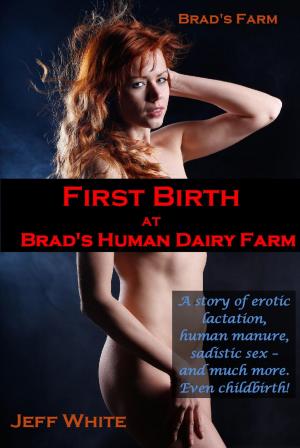 Cover of the book First Birth at Brad's Human Dairy Farm by Mike Smith