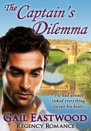 Book cover of The Captain's Dilemma