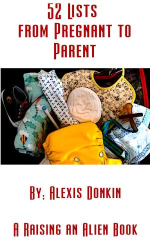 Cover of 52 Lists from Pregnant to Parent