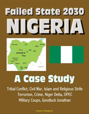 Book cover of Failed State 2030: Nigeria - A Case Study, Tribal Conflict, Civil War, Islam and Religious Strife, Terrorism, Crime, Niger Delta, OPEC, Military Coups, Goodluck Jonathan