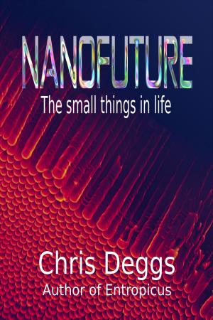 bigCover of the book Nanofuture: The Small Things In Life by 