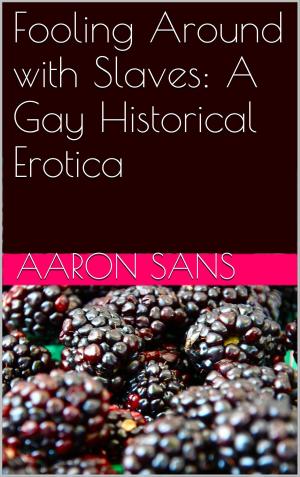 Cover of the book Fooling Around with Slaves: A Gay Historical Erotica by Sarah Hung