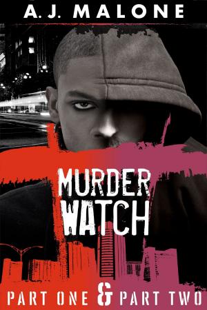 Book cover of Murder Watch Boxed Set Collection