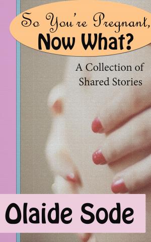 Cover of So You're Pregnant, Now What?
