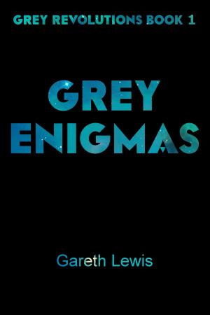 Book cover of Grey Enigmas