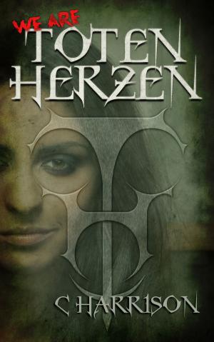 Cover of the book We Are Toten Herzen by Django Mathijsen