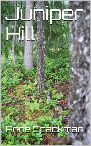 Book cover of Juniper Hill