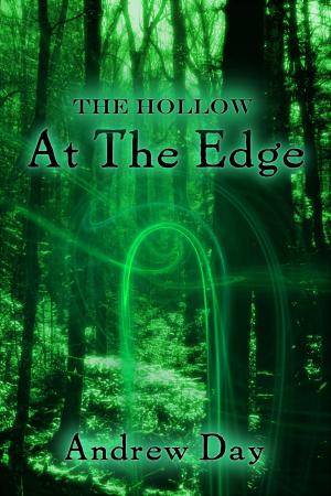 Cover of the book The Hollow: At The Edge by Clifford Eddins