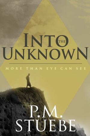 Cover of the book Into the Unknown: More Than Eye Can See by Ana Smiljanic