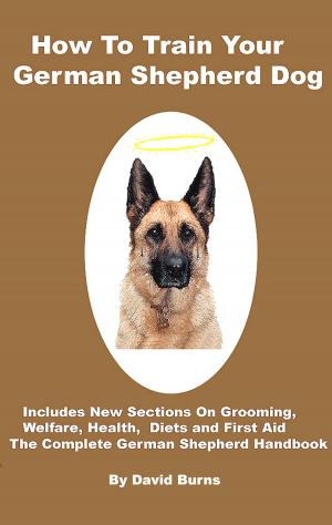 Cover of How To Train Your German Shepherd Dog