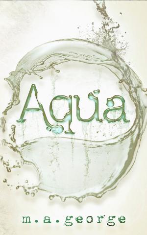 Cover of the book Aqua by Mandi Adkins