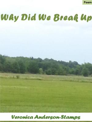 Cover of the book Why Did We Break Up by Veronica Anderson-Stamps