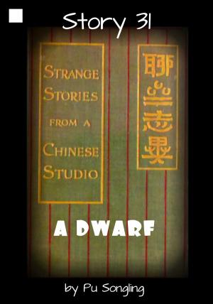 Book cover of Story 31: A Dwarf