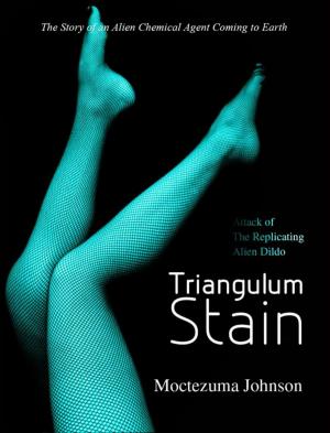 Cover of the book Triangulum Stain: Attack of the Replicating Alien Dildos by Kara Salem