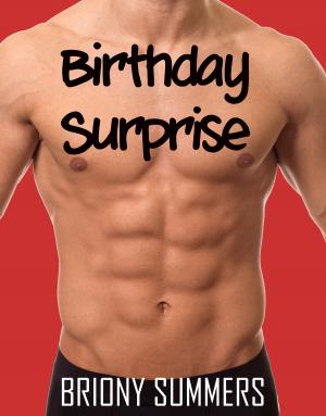 bigCover of the book Birthday Surprise by 