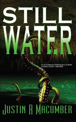 Cover of the book Still Water by David Wood, Sean Ellis