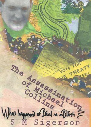 Cover of the book The Assassination of Michael Collins: What Happened at Béal ma mBláth? by Martín Luis Guzmán