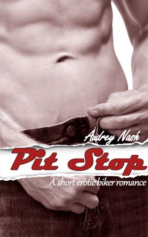 Cover of Pit Stop (Biker Erotica)