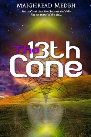 bigCover of the book The 13th Cone by 