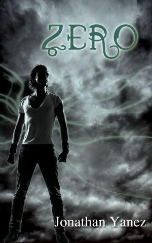 Cover of the book Zero by C. L. Savage