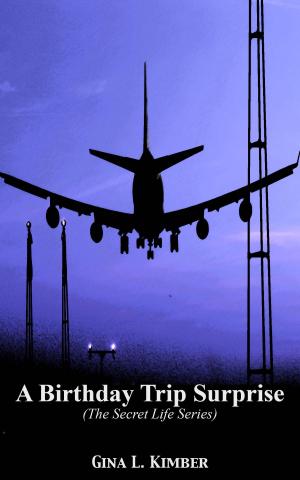 Cover of the book A Birthday Trip Surprise by B.J. Daniels