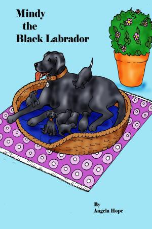 Cover of the book Mindy the Black Labrador by Angela Fiddler