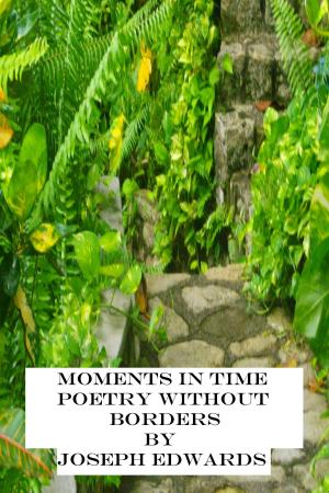 Cover of the book Moments in Time: Poetry Without Borders by Paul Chapman