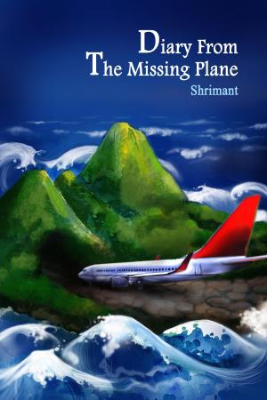 Cover of the book Diary From The Missing Plane by C.L. Wells