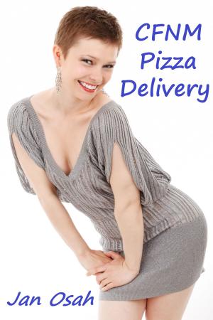 Cover of the book CFNM Pizza Delivery by Jossilynn