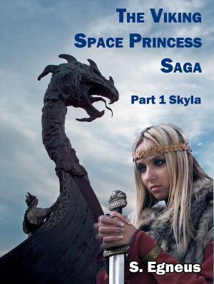 Cover of the book The Viking Space Princess Part 1: Skyla by 御我
