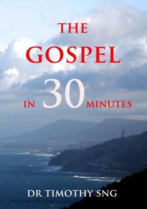Cover of "The Gospel in 30 Minutes"