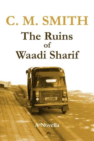 Book cover of The Ruins of Waadi Sharif: A Novella