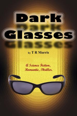 Cover of the book Dark Glasses by Céline LANGLOIS BECOULET