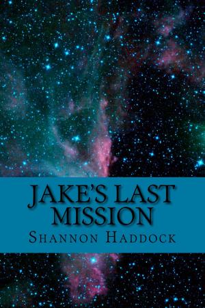 Cover of the book Jake's Last Mission by C. A. Smith