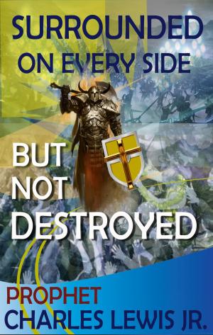 Cover of the book Surrounded On Everyside, But Not Destroyed by David  A. Vosburg, Kate Vosburg
