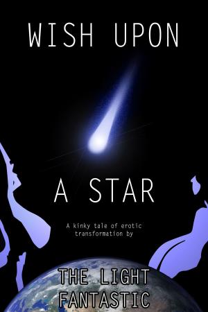 Cover of the book Wish Upon A Star by Il'ya Milyukov