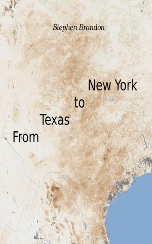 Book cover of From Texas to New York