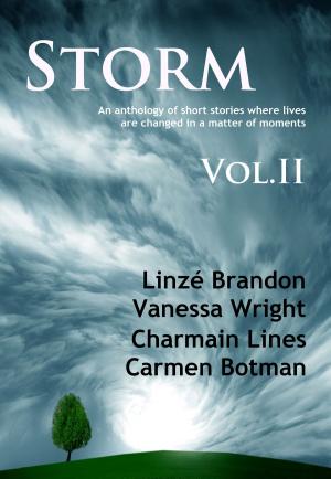 Cover of the book STORM Volume II by Linzé Brandon, Melissa Adendorff, Rene Van Dalen, Michelle Kemp, Charmain Lines, Andrea Vermaak