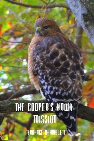 Cover of the book The Cooper's Hawk Mission by Victoria Pritchard