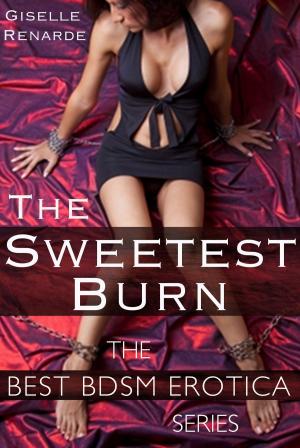 Book cover of The Sweetest Burn: Best BDSM Erotica