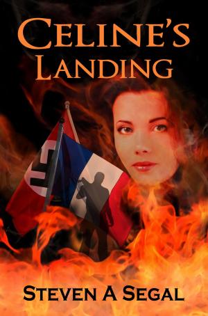 Book cover of Celine's Landing